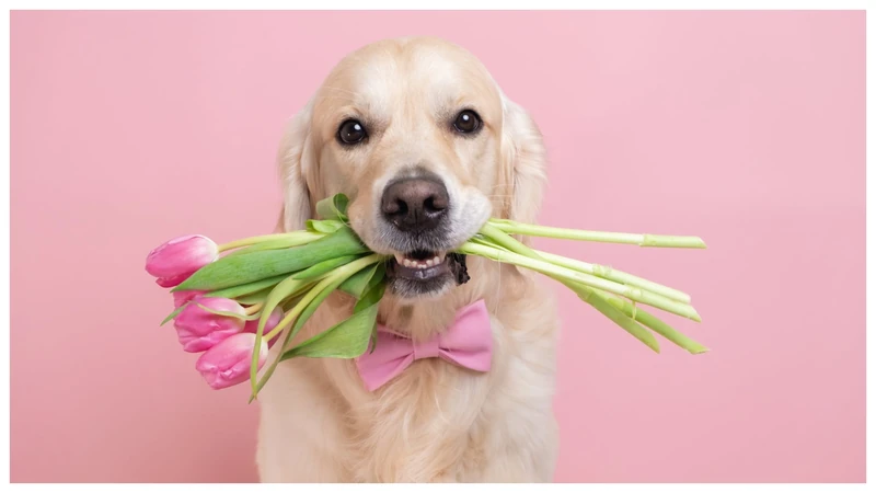 The Best Flower-Themed Names For Dogs