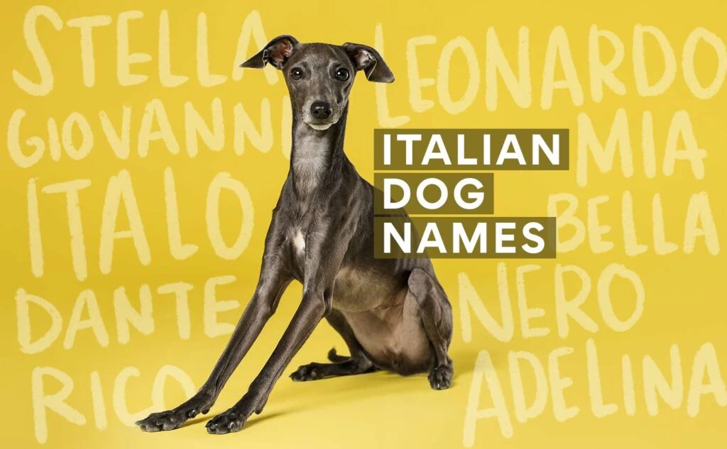 Female Italian Dog Names