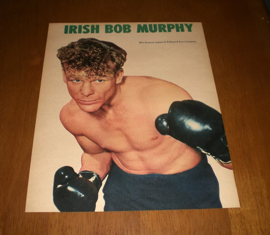 Irish Boxer Names (Source: ebay.com)