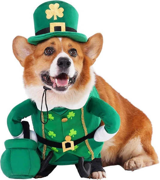 Amazon.com : Aotiooy Leprechaun Dog Costume, St Patrick's Day Pet Outfit  with Adjustable Leprechaun Hat & Playful Gold Pot, 