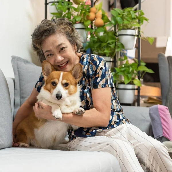 175+ Corgi Names (With Meanings) - PetHelpful