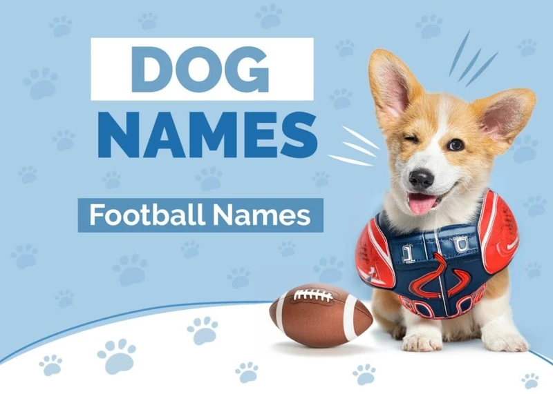 100+ Sports Dog Names: Ideas for Athletic & Fun Dogs | Hepper Pet Resources
