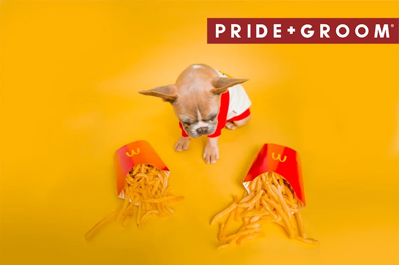 Popular & Cute Food-inspired Dog Names | Pride+Groom – PRIDE+GROOM