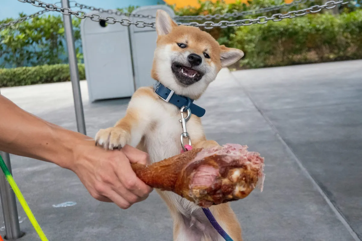 Playful Food-inspired Dog Names