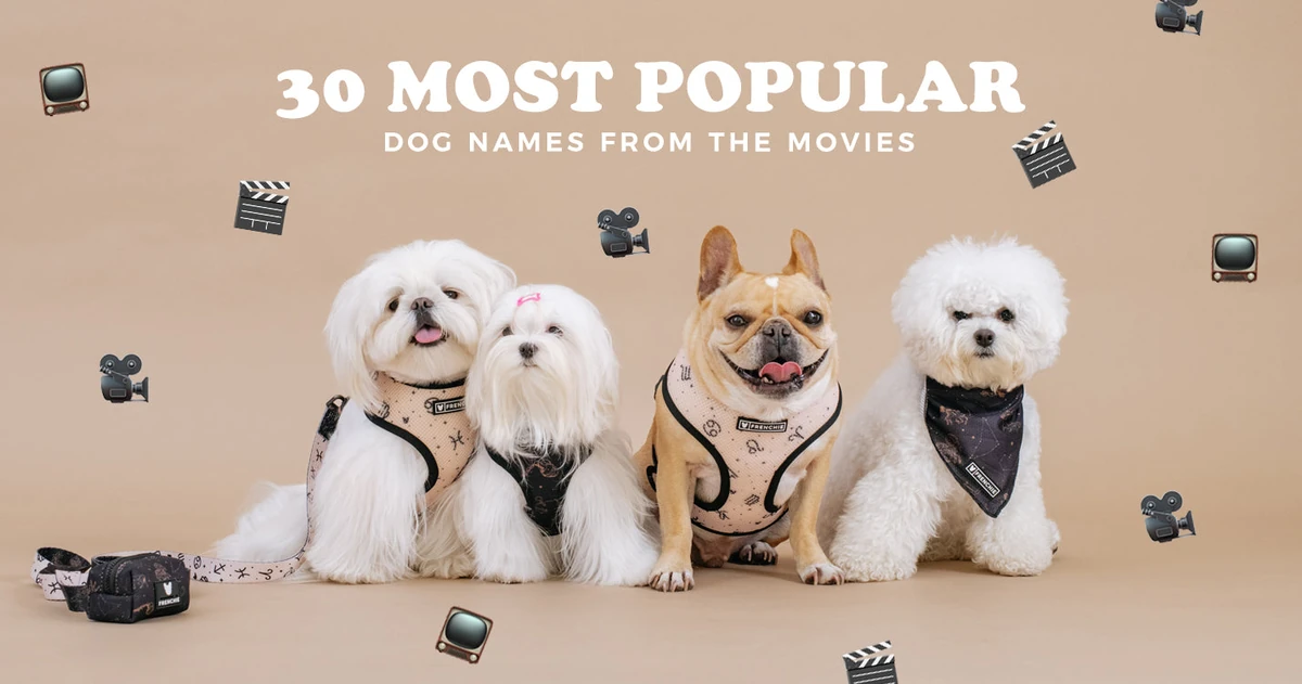 Playful Movies-inspired Dog Names