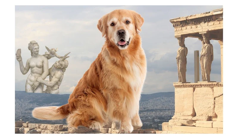 120 Mythological Dog Names: Unleashing Timeless Wonder and Character -  Rocky Kanaka