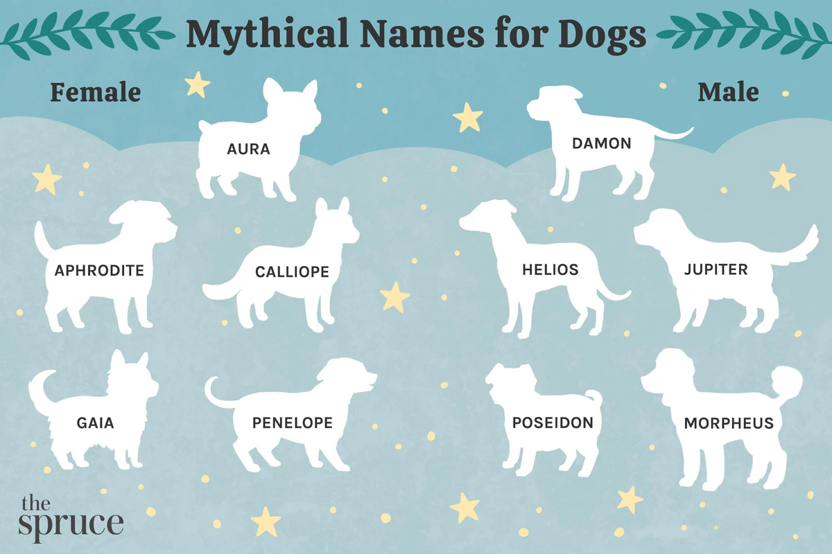 Playful Mythology-inspired Dog Names
