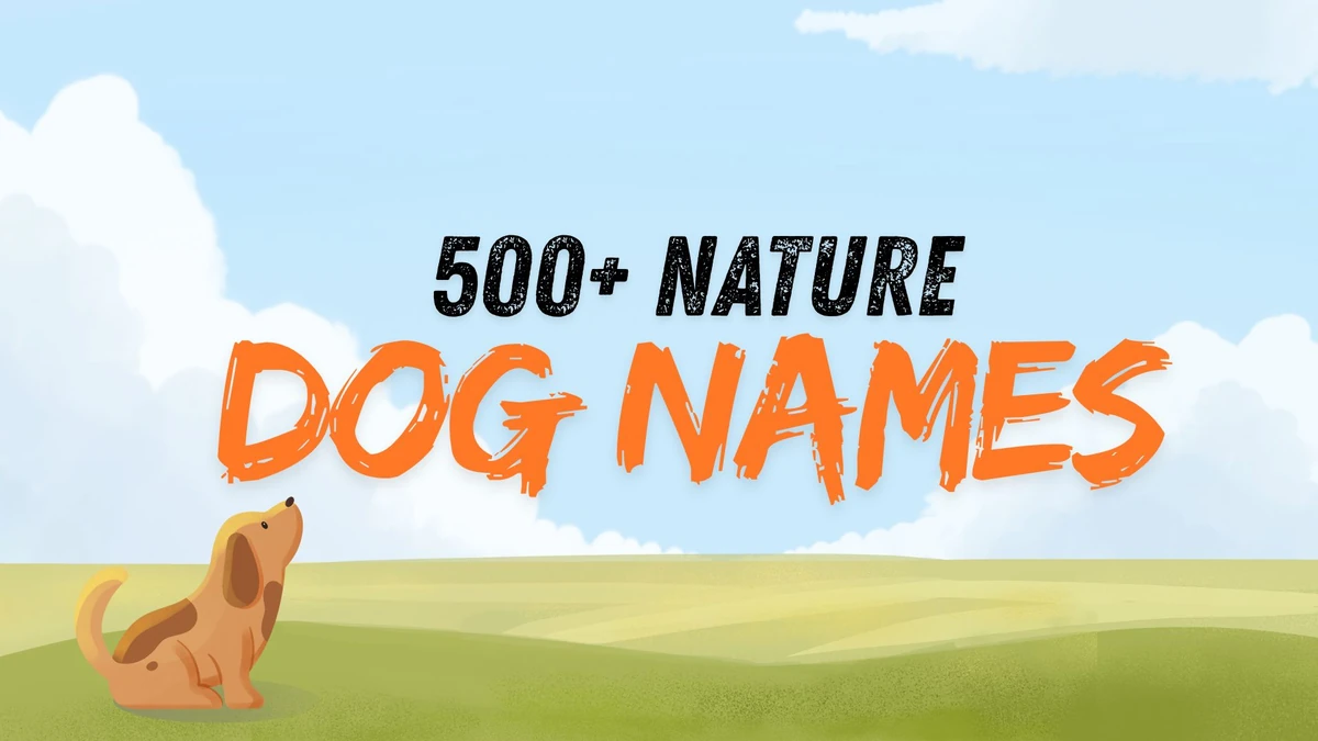Playful Nature-inspired Dog Names