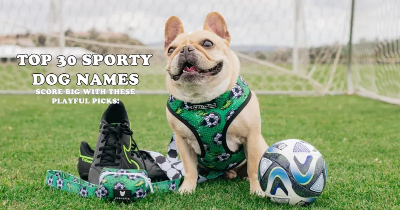 Top 30 Sporty Dog Names: Score Big with These Playful Picks! – Frenchie  Bulldog