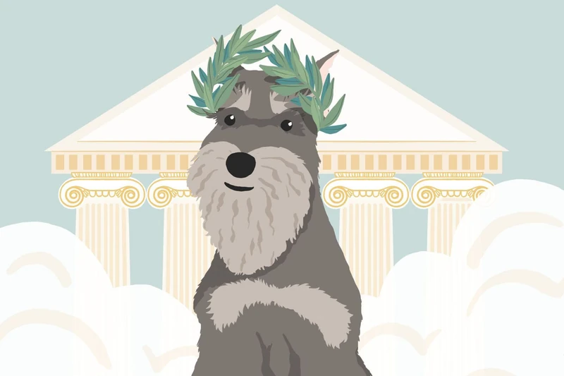 100+ God and Goddess Names For Your Divine Dog