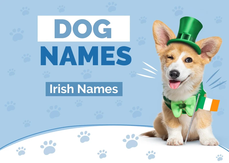 100+ Irish Dog Names: Ideas for Fun & Lucky Dogs | Hepper Pet Resources