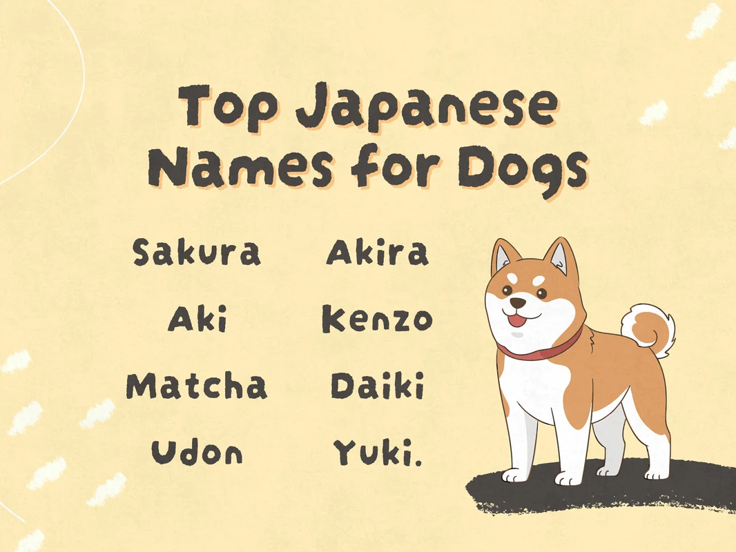 Unisex Japanese Dog Names